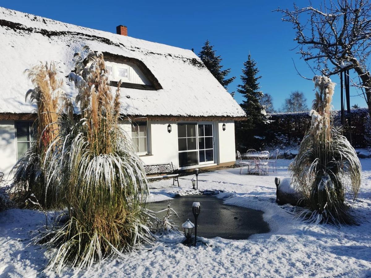 Reetferienhaus - Schaprode Hafen Bagian luar foto
