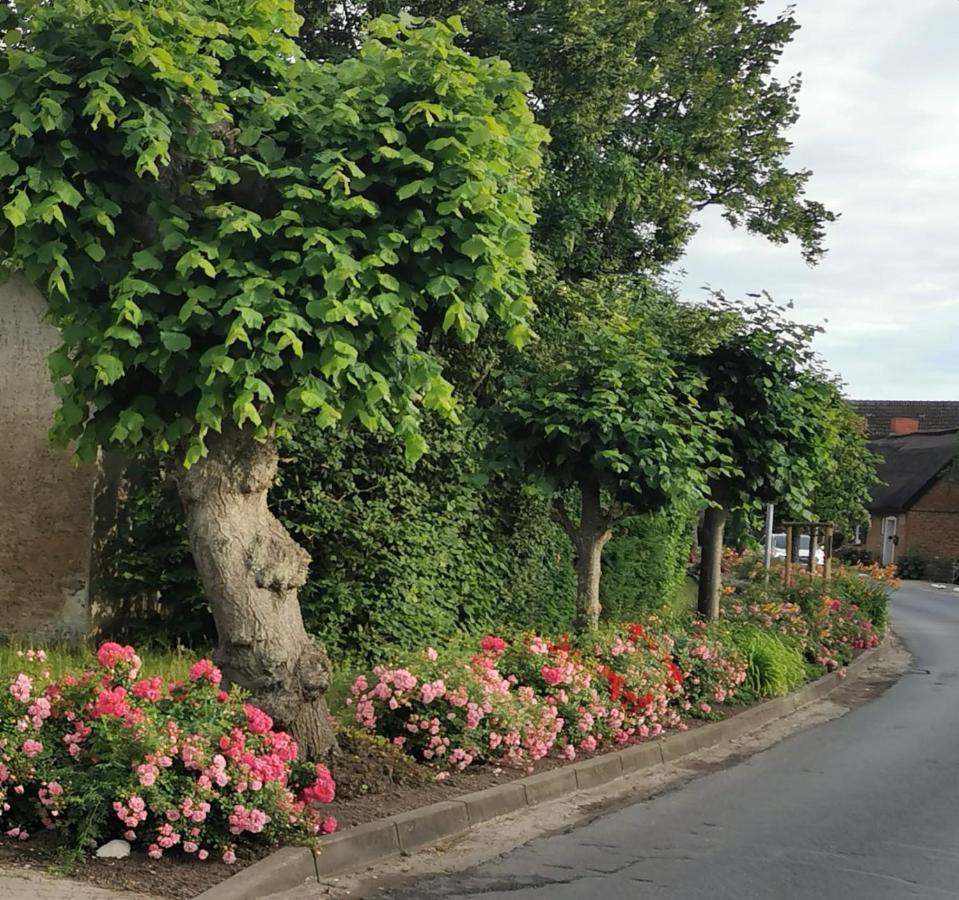 Reetferienhaus - Schaprode Hafen Bagian luar foto