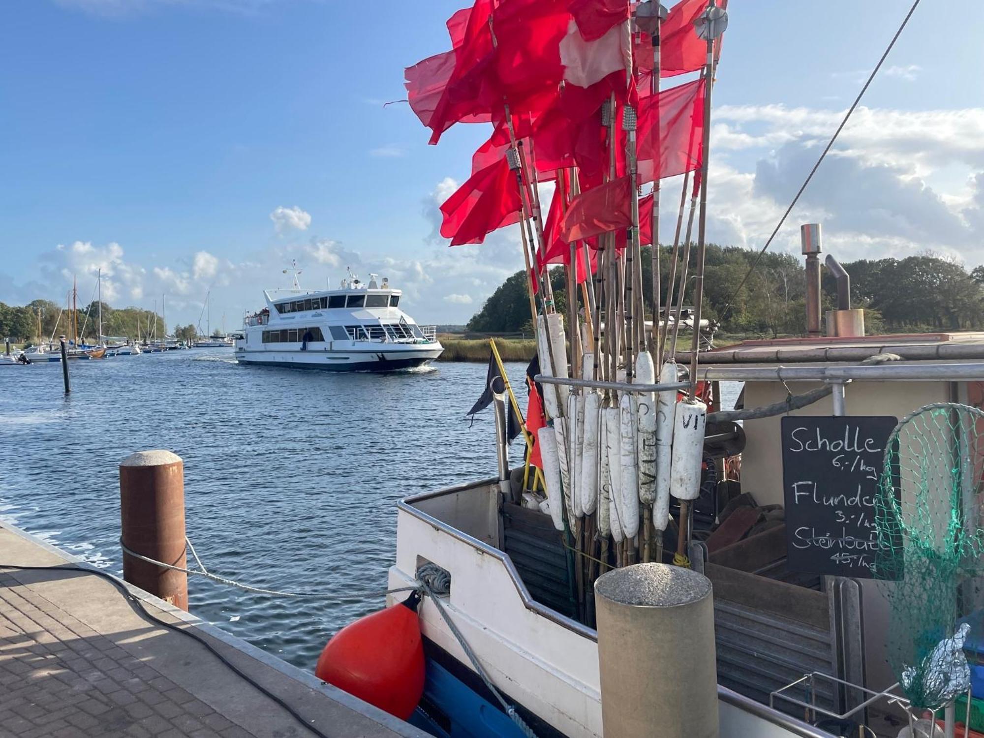 Reetferienhaus - Schaprode Hafen Bagian luar foto